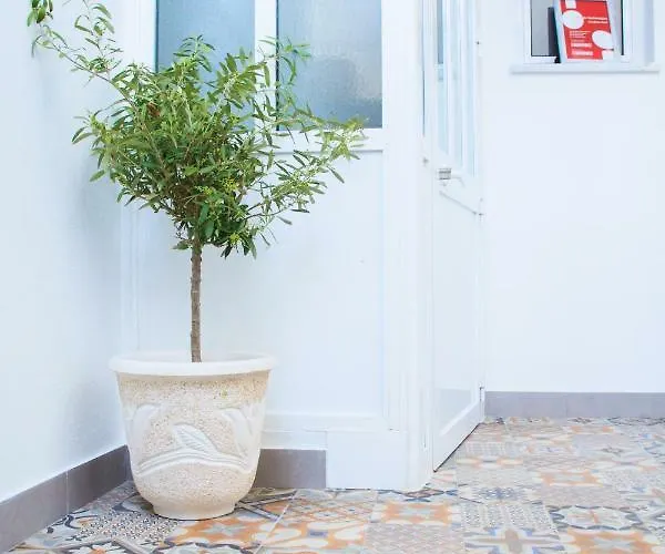 Soldouro 3* 아베이루